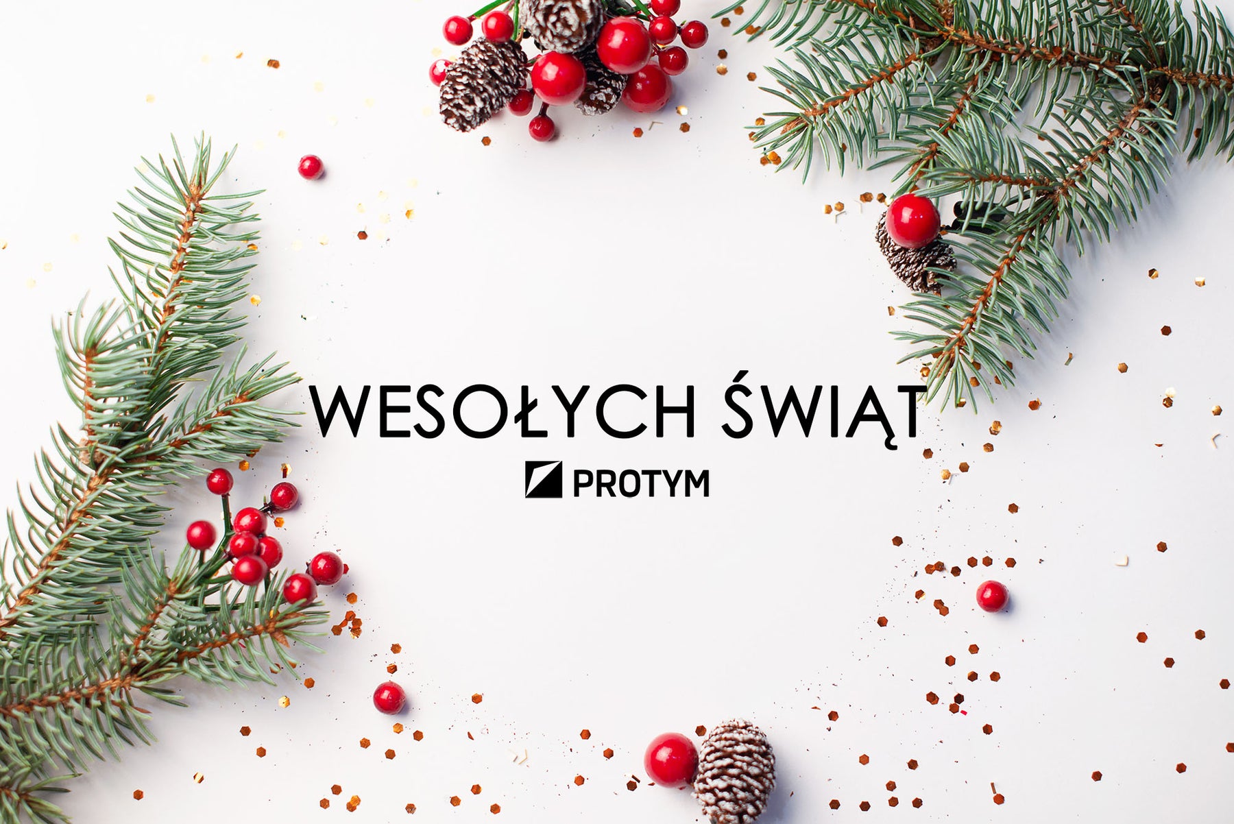 Wesołych świąt - Protym.pl